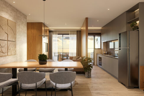 16_ACLF_BOU-VIS_APT-PONTA-LIVING_R01 (3)