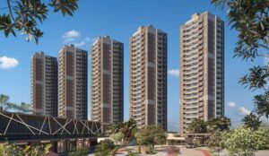 Mirante das Paineiras